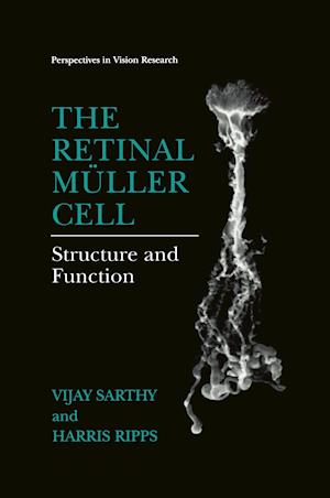 The Retinal Müller Cell