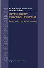 Intelligent Control Systems