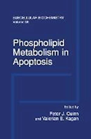 Phospholipid Metabolism in Apoptosis