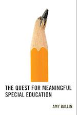 Quest for Meaningful Special Education