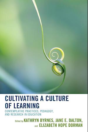 Cultivating a Culture of Learning