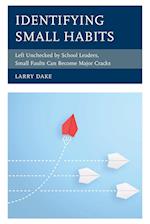 Identifying Small Habits