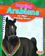 Drawing Arabians and Other Amazing Horses