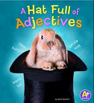 Hatfull of Adjectives