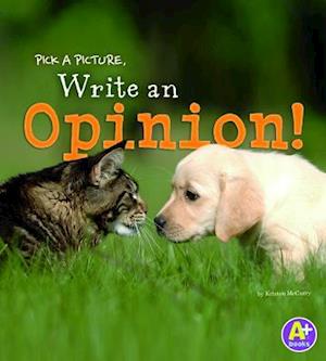 Write an Opinion!