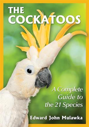 Cockatoos