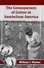 Consequences of Cotton in Antebellum America