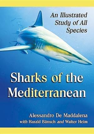 Sharks of the Mediterranean