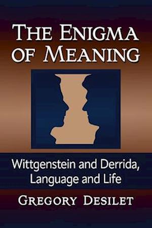 The Enigma of Meaning