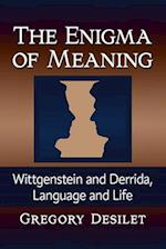 The Enigma of Meaning