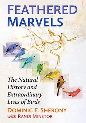 Feathered Marvels