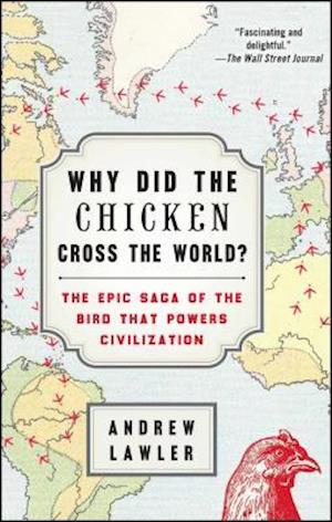 Why Did the Chicken Cross the World?