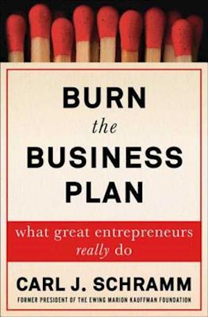 Burn the Business Plan