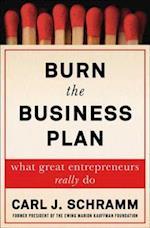 Burn the Business Plan