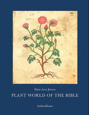 Plant World of the Bible