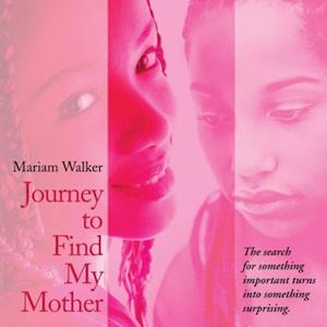 Journey to Find My Mother