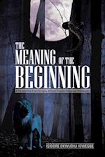 Meaning of the Beginning