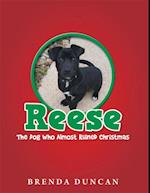 Reese - the Dog Who Almost Ruined Christmas