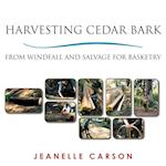 HARVESTING CEDAR BARK