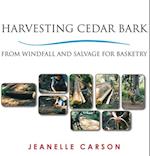 Harvesting Cedar Bark