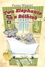 Two Elephants in a Bathtub