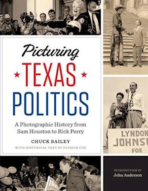 Picturing Texas Politics