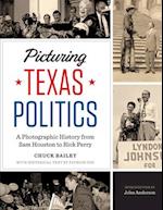 Picturing Texas Politics