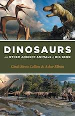 Dinosaurs and Ancient Animals of Big Bend