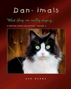 Dan-Imals - Volume II