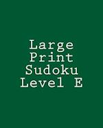 Large Print Sudoku Level E