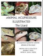 Animal Acupressure Illustrated the Lizard