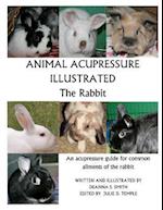 Animal Acupressure Illustrated the Rabbit