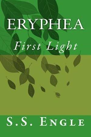 Eryphea