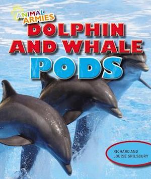 Dolphin and Whale Pods