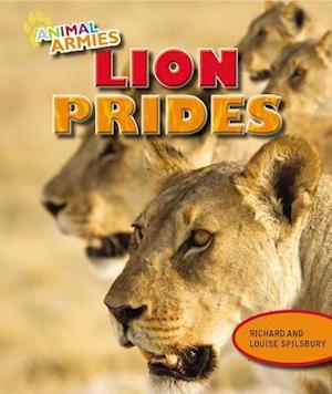 Lion Prides