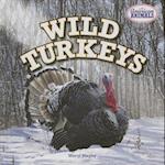 Wild Turkeys