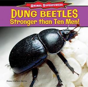 Dung Beetles