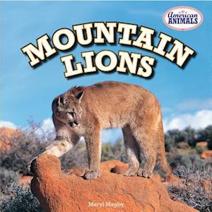 Mountain Lions