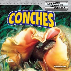 Conches