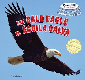 Bald Eagle / El Aguila Calva