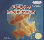 Jellyfish / Las Medusas