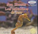 Sea Horses / Los Caballos de Mar