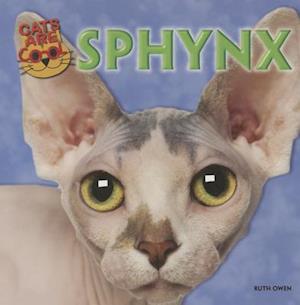 Sphynx