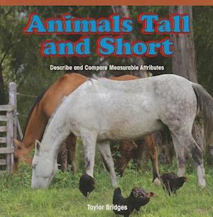 Animals Tall and Short