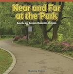 Near and Far at the Park