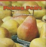 Picking Pears