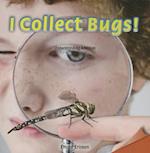 I Collect Bugs!