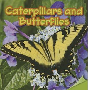 Caterpillars and Butterflies