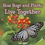 How Bugs and Plants Live Together
