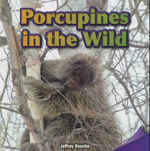 Porcupines in the Wild